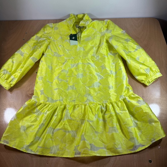 Tuckernuck Dresses & Skirts - Tuckernuck Citron Fil Coupe Palmerston Dress Size Medium New With tag
